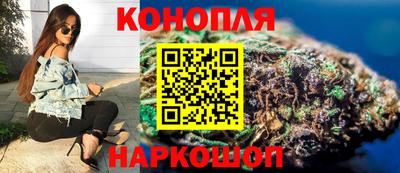 крисы Аргун