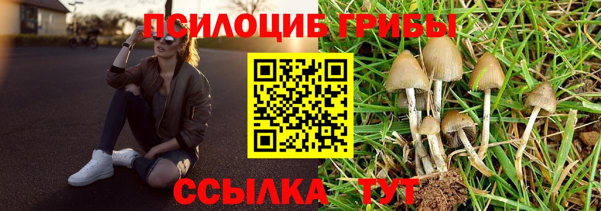 Псилоцибиновые грибы Magic Shrooms Астрахань